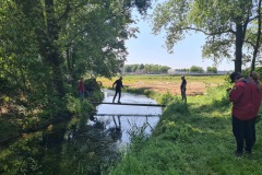 Ingebruikname ijsvogel nestkast